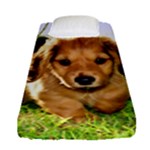 Puppy In Grass Fitted Sheet (Single Size)