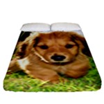 Puppy In Grass Fitted Sheet (King Size)