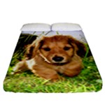 Puppy In Grass Fitted Sheet (California King Size)