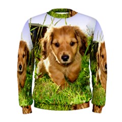 Men s Sweatshirt 