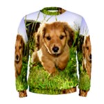 Puppy In Grass Men s Sweatshirt