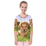 Puppy In Grass Kids  Quarter Sleeve Raglan Tee