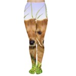 Puppy In Grass Tights