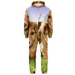 Hooded Jumpsuit (Men) 