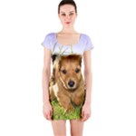 Puppy In Grass Short Sleeve Bodycon Dress