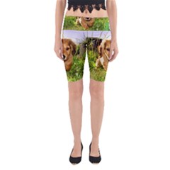 Puppy In Grass Yoga Cropped Leggings from ArtsNow.com