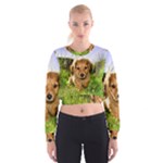 Puppy In Grass Cropped Sweatshirt