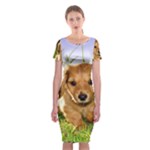 Puppy In Grass Classic Short Sleeve Midi Dress