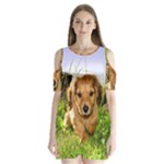 Puppy In Grass Shoulder Cutout Velvet One Piece