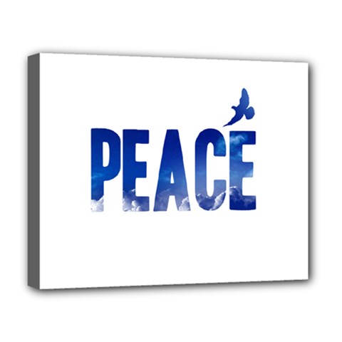 Peace Bird Deluxe Canvas 20  x 16  (Stretched) from ArtsNow.com