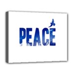 Peace Bird Deluxe Canvas 20  x 16  (Stretched)