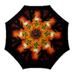 Ninja Sunset Golf Umbrella