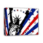 Statue of Liberty Deluxe Canvas 14  x 11  (Stretched)