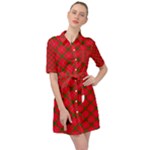 Holiday Belted Shirt Dress