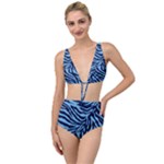 Zebra 3 Tied Up Two Piece Swimsuit