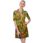 Colorful brush strokes painting on a green background                                                       Belted Shirt Dress