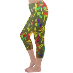 Capri Winter Leggings  Back