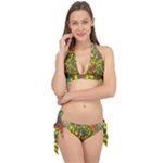 Colorful brush strokes painting on a green background                                                    Tie It Up Bikini Set