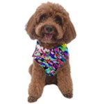 Colorful paint texture                                               Dog Sweater