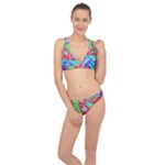 Colorful distorted shapes on a grey background                                                     Classic Banded Bikini Set