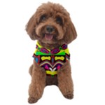 Colorful shapes                                              Dog Sweater