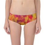 Colorful watercolors texture                                                    Classic Bikini Bottoms