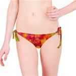 Colorful watercolors texture                                                    Bikini Bottom