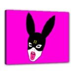 Bunny Girl Mask Canvas 20  x 16  (Framed)