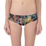 Mosaic pieces                                                    Classic Bikini Bottoms