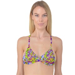 Reversible Tri Bikini Top 