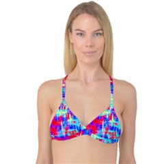 Reversible Tri Bikini Top 