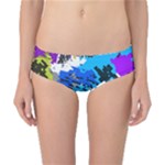 Shaky shapes                                                          Classic Bikini Bottoms