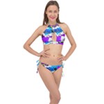 Shaky shapes                                                          Cross Front Halter Bikini Set