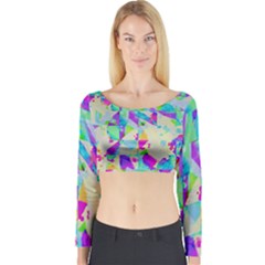 Long Sleeve Crop Top 