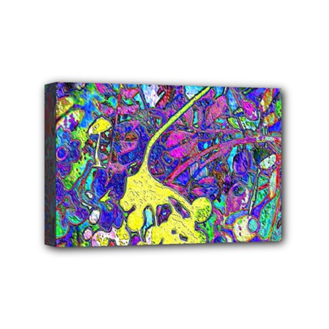 vibrant abstract floral/rainbow color Mini Canvas 6  x 4  (Stretched) from ArtsNow.com