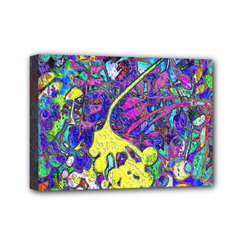 vibrant abstract floral/rainbow color Mini Canvas 7  x 5  (Stretched) from ArtsNow.com