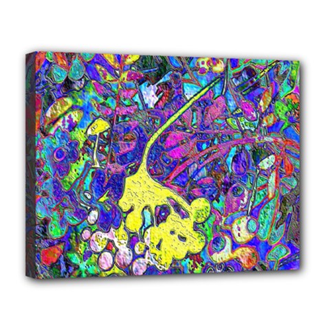 vibrant abstract floral/rainbow color Canvas 14  x 11  (Stretched) from ArtsNow.com