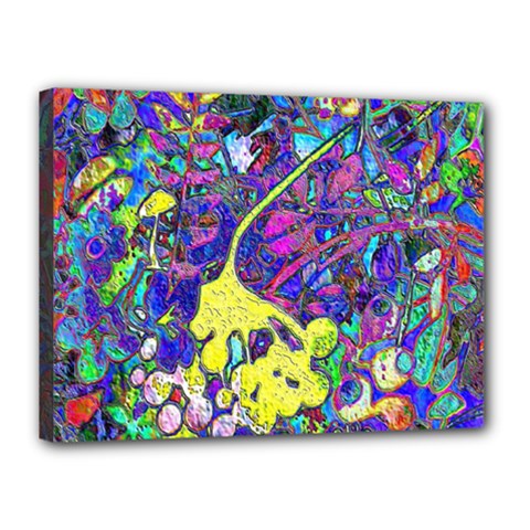 vibrant abstract floral/rainbow color Canvas 16  x 12  (Stretched) from ArtsNow.com