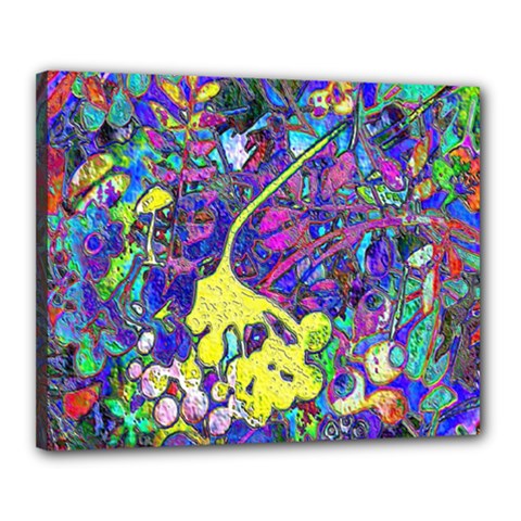 vibrant abstract floral/rainbow color Canvas 20  x 16  (Stretched) from ArtsNow.com