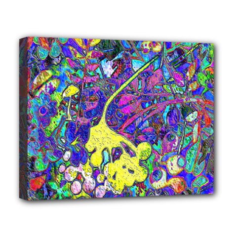 vibrant abstract floral/rainbow color Deluxe Canvas 20  x 16  (Stretched) from ArtsNow.com