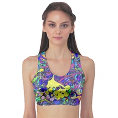 Fitness Sports Bra 