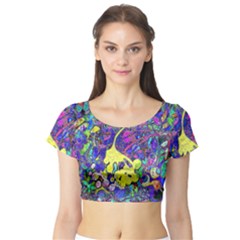 Short Sleeve Crop Top 