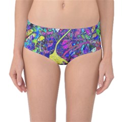 Mid-Waist Bikini Bottoms 