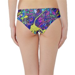 Hipster Bikini Bottoms 