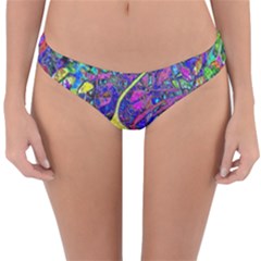 Reversible Hipster Bikini Bottoms 