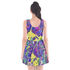 Scoop Neck Skater Dress 