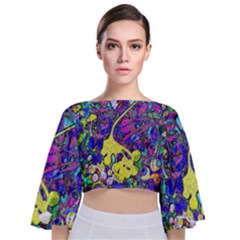 Tie Back Butterfly Sleeve Chiffon Top 