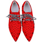 Funny Graphics Women s Pointed Oxford Shoes