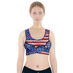 usa-map-and-flag-on-cement-wall-texture-background-design-1591646654pet Sports Bra With Pocket