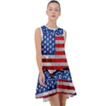 usa-map-and-flag-on-cement-wall-texture-background-design-1591646654pet Frill Swing Dress